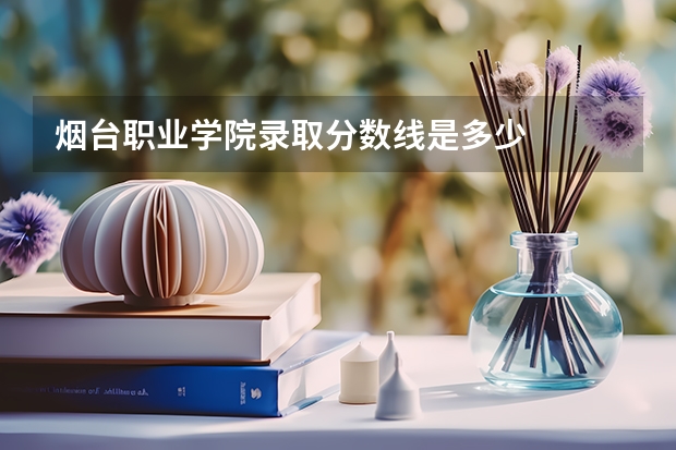 烟台职业学院录取分数线是多少