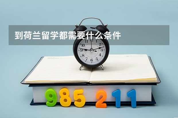 到荷兰留学都需要什么条件