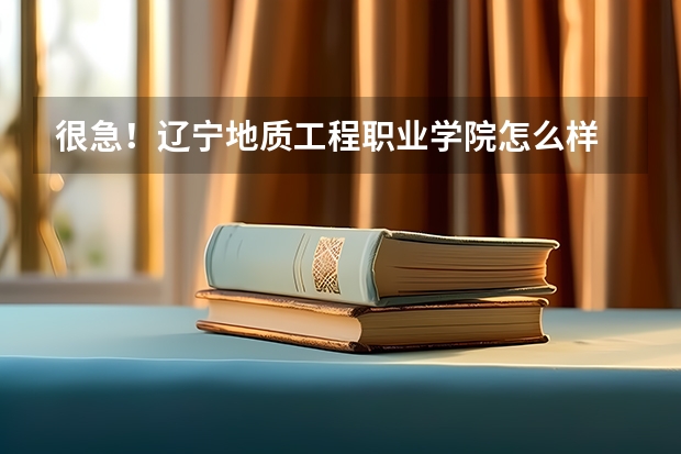 很急!辽宁地质工程职业学院怎么样