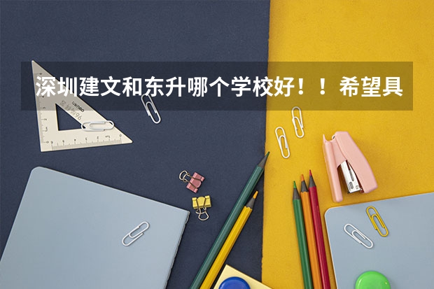深圳建文和东升哪个学校好!!希望具体