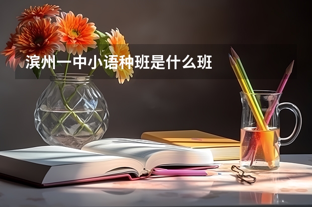 滨州一中小语种班是什么班