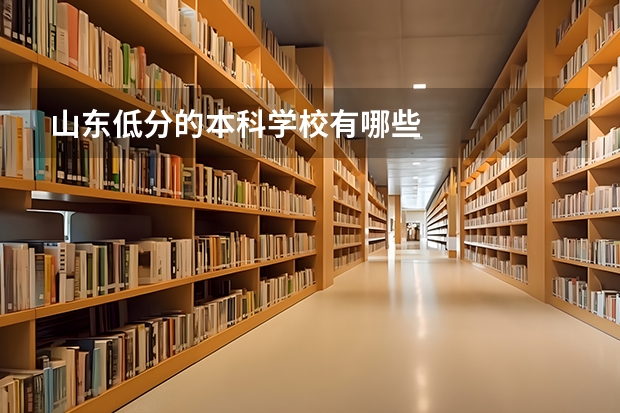 山东低分的本科学校有哪些