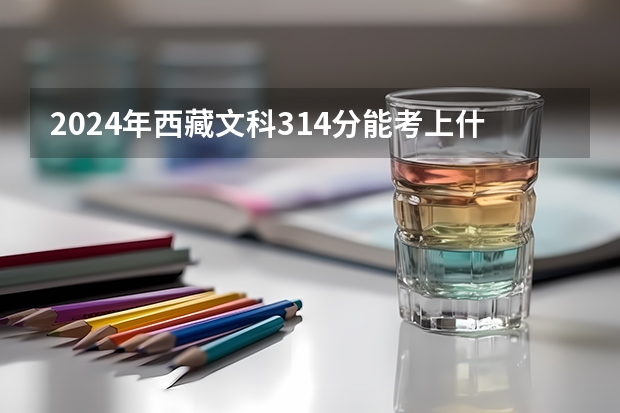 2024年西藏文科314分能考上什么大学？