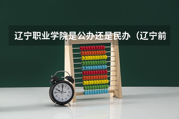 辽宁职业学院是公办还是民办(辽宁前十专科学校)