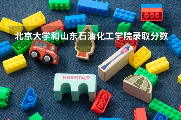 北京大学和山东石油化工学院录取分数对比