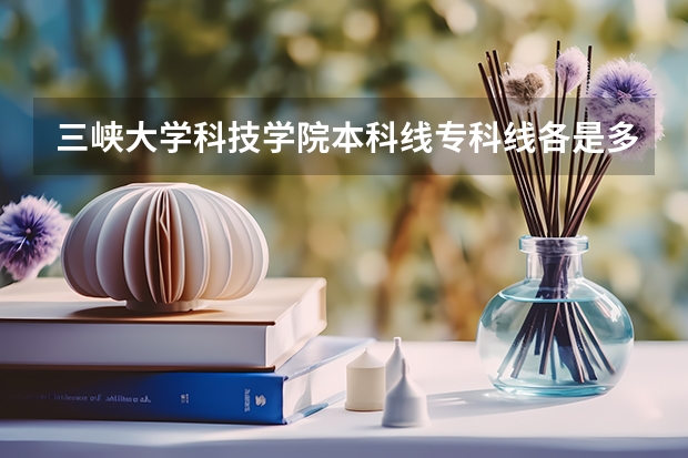 三峡大学科技学院本科线专科线各是多少分?