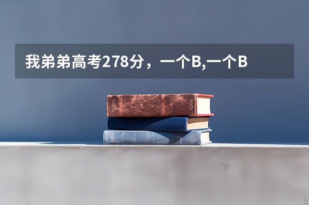 我弟弟高考278分,一个B,一个B+,江苏考生,能上些什么学校?