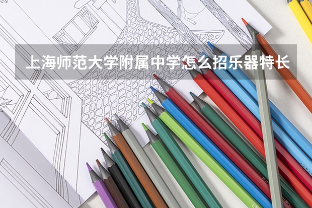 上海师范大学附属中学怎么招乐器特长生