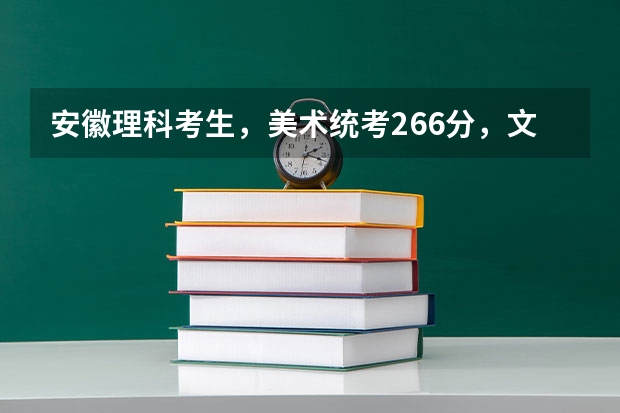 安徽理科考生,美术统考266分,文化科大约280分那片,在省内能上哪些公办大专?