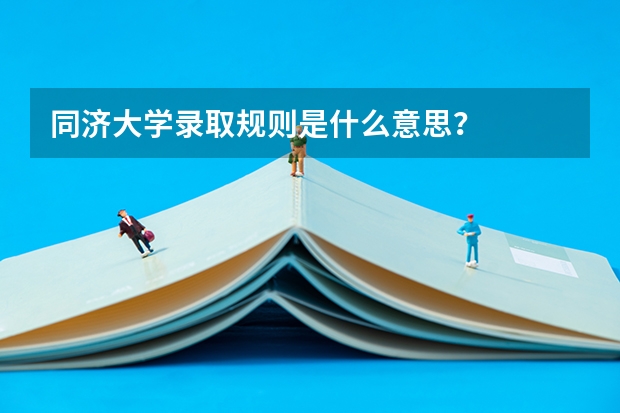 同济大学录取规则是什么意思？