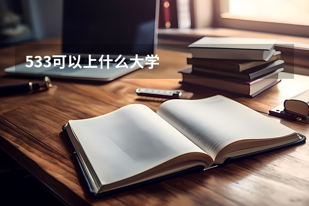 533可以上什么大学