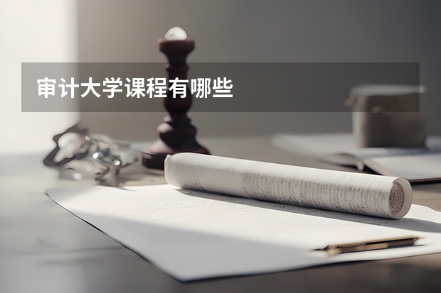 审计大学课程有哪些