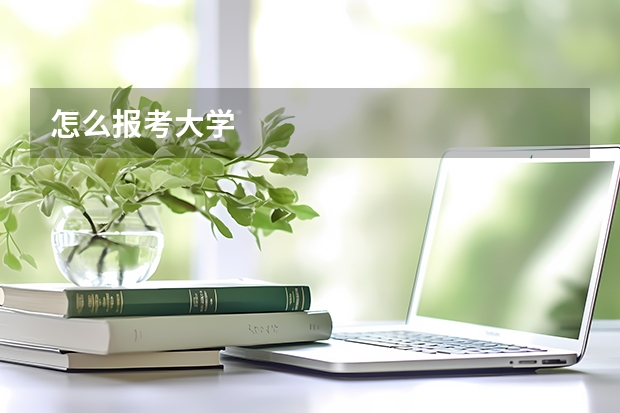 怎么报考大学