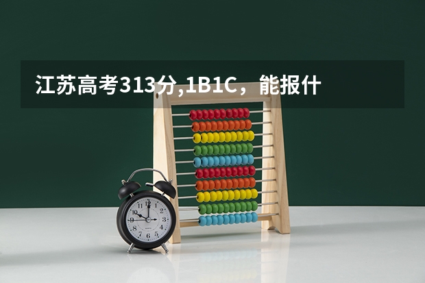 江苏高考313分,1B1C，能报什么样学校